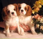 Фотография Шергиной Наталии