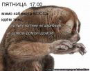 Ігорь Петров фотография #15 (источник - https://vk.com/id158198137)