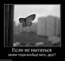Фотография Бахтиной Марии