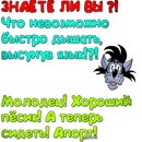 Діана Мурин фотография #21 (источник - https://vk.com/id73085906)