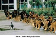 Денис Хапин фотография #4 (источник - https://vk.com/id46709228)