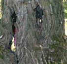 Фотография Катуниной Елены