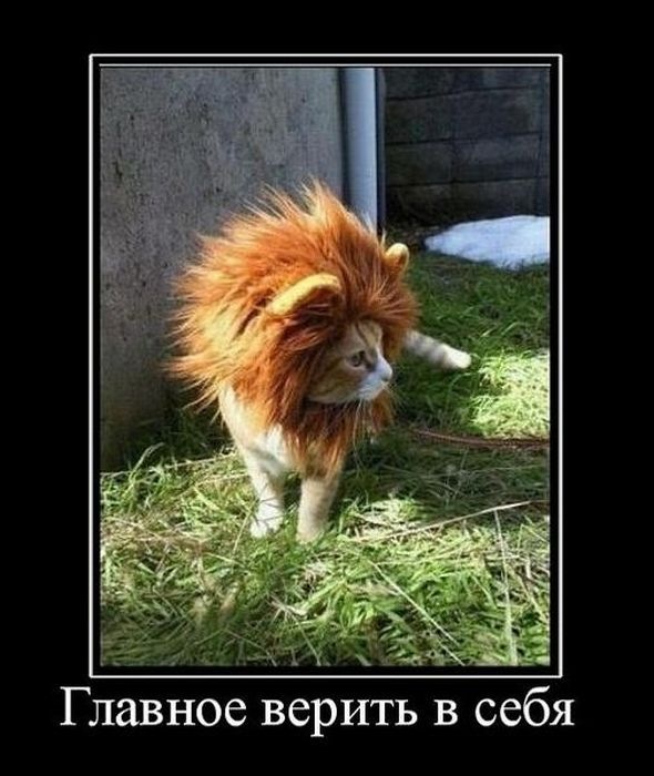 Станислав Сергеевич фотография #35
