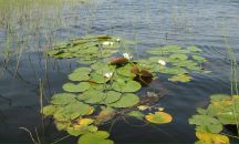 Михаил Романенко фотография #12 (источник - https://vk.com/id990772)