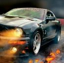 Денис Кушнір фотография #18 (источник - https://vk.com/id162045192)