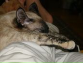 Фотография Яременко Марии