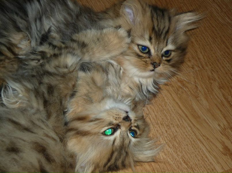 Надежда Краснова фотография #10