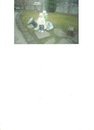 Лариса Іщук фотография #25 (источник - https://vk.com/id159929629)