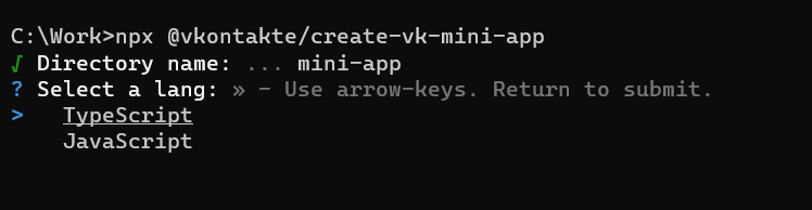 Programming language prompt